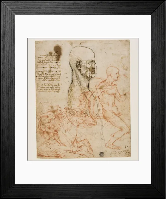 Framed Print : Human bust in profile with study of proportions, c. 1490-1499. Creator: Leonardo da Vinci