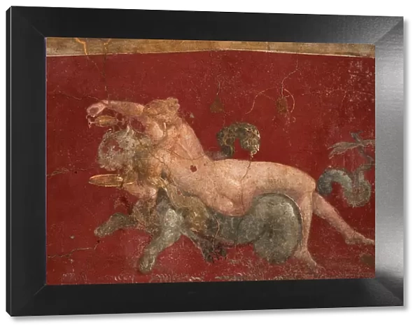 The nereid on a sea beast (sea-panther), 1st H. 1st cen. AD. Creator: Roman-Pompeian wall painting