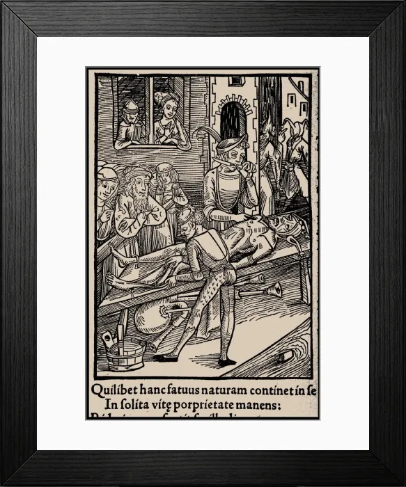 Framed Print : Illustration to the book Ship of Fools by Sebastian Brant, 1497. Creator: Anonymous Framed Print : Illustration to the book Ship of Fools by Sebastian Brant, 1497. Creator: Anonymous
