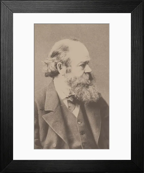 Framed Print : Portrait of the composer Robert von Hornstein (1833-1890). Creator: Hanfstaengl, Franz (1804-1877) Framed Print : Portrait of the composer Robert von Hornstein (1833-1890). Creator: Hanfstaengl, Franz (1804-1877)