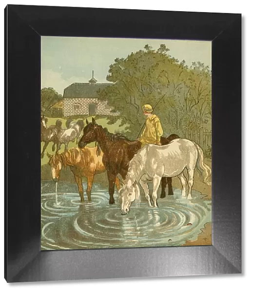 The Farmers Boy watering horses, c1881. Creator: Randolph Caldecott