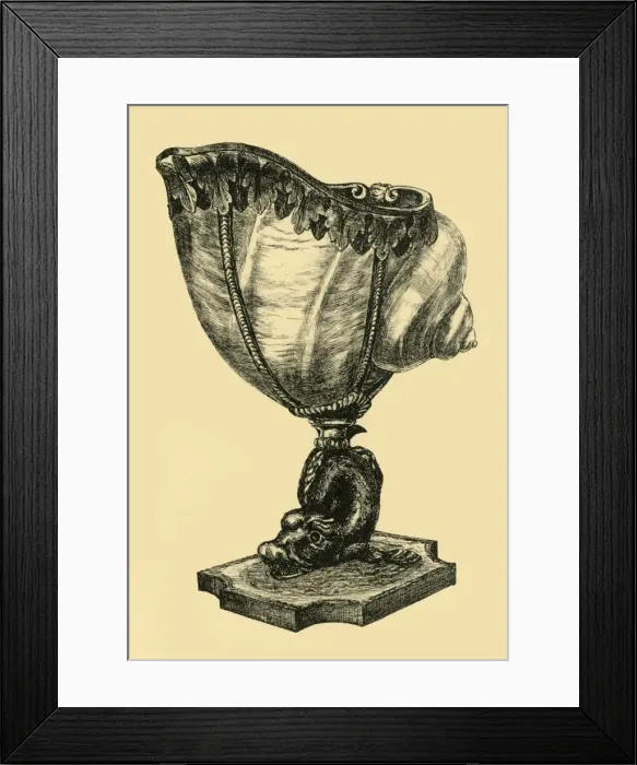 Framed Print : Shell cup, late 17th century?, (1881). Creator: T Charbonnier Framed Print : Shell cup, late 17th century?, (1881). Creator: T Charbonnier