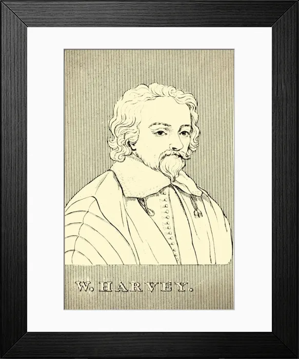 Framed Print : W. Harvey, (1578-1657), 1830. Creator: Unknown Framed Print : W. Harvey, (1578-1657), 1830. Creator: Unknown