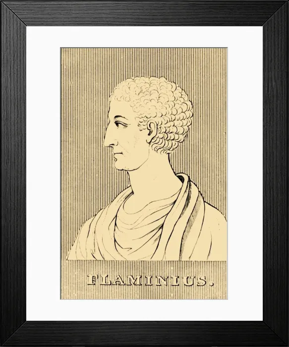 Framed Print : Flaminius, (c229-174 BC), 1830. Creator: Unknown Framed Print : Flaminius, (c229-174 BC), 1830. Creator: Unknown