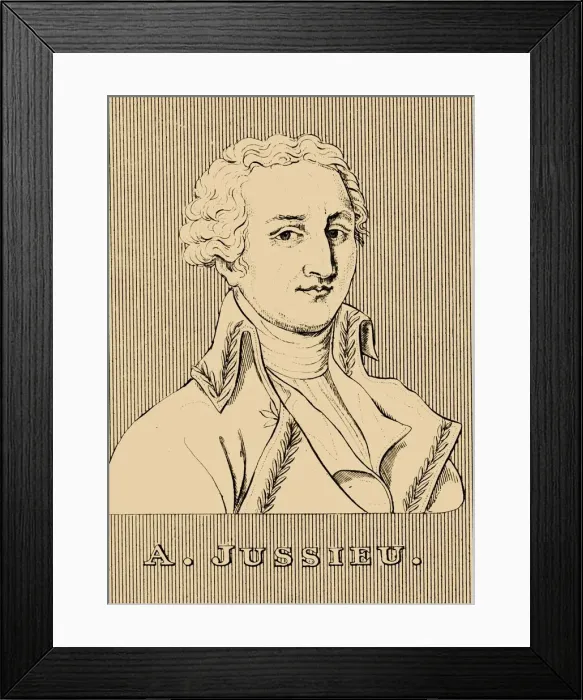 Framed Print : A. Jussieu, (1748-1836), 1830. Creator: Unknown Framed Print : A. Jussieu, (1748-1836), 1830. Creator: Unknown
