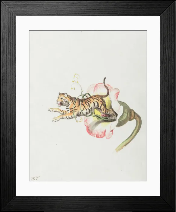 Framed Print : Tiger jumping from a flower crown. Allegory on flower seeds, 1817. Creator: Tischbein Framed Print : Tiger jumping from a flower crown. Allegory on flower seeds, 1817. Creator: Tischbein