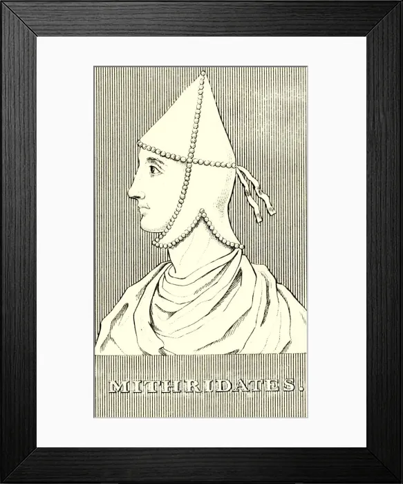 Framed Print : Mithridates, (65-110AD), 1830. Creator: Unknown Framed Print : Mithridates, (65-110AD), 1830. Creator: Unknown