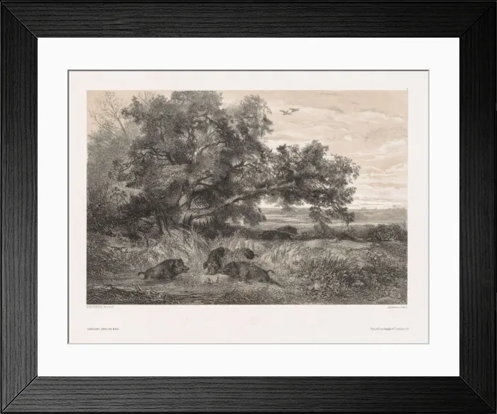 Framed Print : Animals and Landscape after Nature: Wild Boar in a Pond, c. 1850. Creator: Karl Bodmer (Swiss Framed Print : Animals and Landscape after Nature: Wild Boar in a Pond, c. 1850. Creator: Karl Bodmer (Swiss