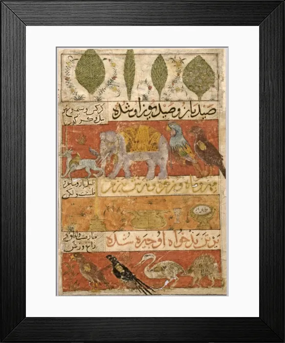 Framed Print : Animals, Birds, and Plants (verso); Illustration and Text (Persian Verses)... 1341 Framed Print : Animals, Birds, and Plants (verso); Illustration and Text (Persian Verses)... 1341