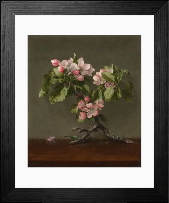 Framed Print : Apple Blossoms, 1873. Creator: Martin Johnson Heade (American, 1819-1904) Framed Print : Apple Blossoms, 1873. Creator: Martin Johnson Heade (American, 1819-1904)