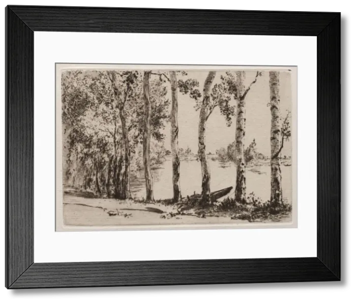 Framed Print : Aspens on the Bank of the Seine. Creator: Felix Bracquemond (French, 1833-1914) Framed Print : Aspens on the Bank of the Seine. Creator: Felix Bracquemond (French, 1833-1914)