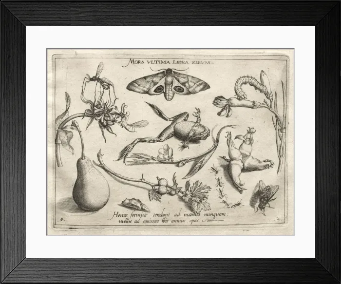Framed Print : Archetypes and Studies: Death is the line that marks the end of all (Part II, plate 5), 1592 Framed Print : Archetypes and Studies: Death is the line that marks the end of all (Part II, plate 5), 1592