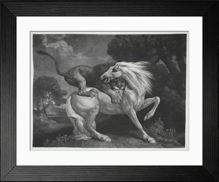 Framed Print : A Horse Attacked by a Lion, 1788. Creator: George Stubbs (British, 1724-1806) Framed Print : A Horse Attacked by a Lion, 1788. Creator: George Stubbs (British, 1724-1806)