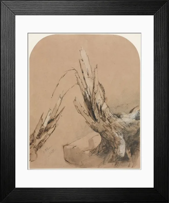 Framed Print : A Blasted Tree (recto) Floorplan (verso), 1851. Creator: Jasper F. Cropsey (American, 1823-1900) Framed Print : A Blasted Tree (recto) Floorplan (verso), 1851. Creator: Jasper F. Cropsey (American, 1823-1900)
