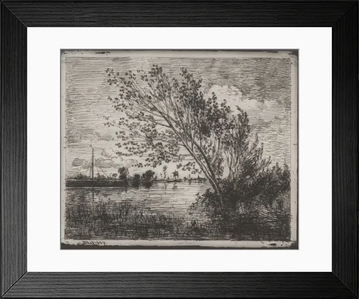 Framed Print : A Cluster of Alders, original impression 1862, printed in 1921 Framed Print : A Cluster of Alders, original impression 1862, printed in 1921