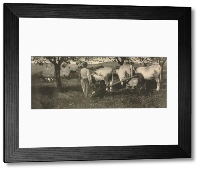Framed Print : Camera Work: Ploughing Team, 1907. Creator: J. Craig Annan (British, 1864-1946) Framed Print : Camera Work: Ploughing Team, 1907. Creator: J. Craig Annan (British, 1864-1946)