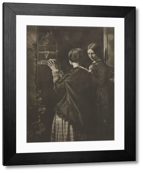 Framed Print : Camera Work: The Bird-Cage, 1909. Creator: David Octavius Hill (British, 1802-1870) Framed Print : Camera Work: The Bird-Cage, 1909. Creator: David Octavius Hill (British, 1802-1870)