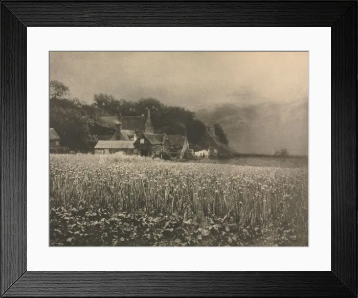 Framed Print : Camera Work: The Onion Field - 1890, 1890. Creator: George Davison (British, 1856-1930)