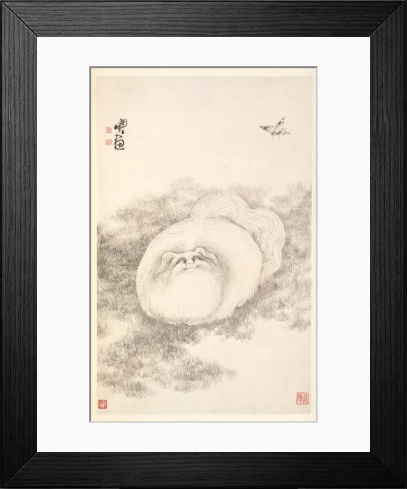 Framed Print : Cat and Butterfly, 1788. Creator: Min Zhen (Chinese, 1730-after 1788) Framed Print : Cat and Butterfly, 1788. Creator: Min Zhen (Chinese, 1730-after 1788)