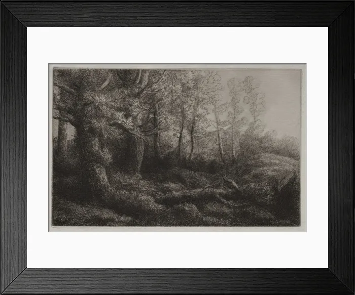 Framed Print : A Woodland Study. Creator: Alphonse Legros (French, 1837-1911) Framed Print : A Woodland Study. Creator: Alphonse Legros (French, 1837-1911)