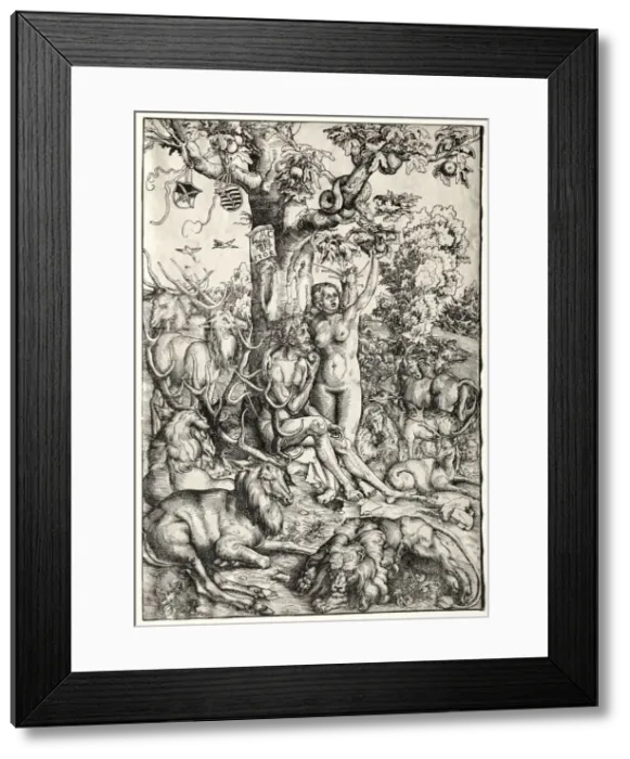 Framed Print : Adam and Eve in Paradise, 1509. Creator: Lucas Cranach (German, 1472-1553) Framed Print : Adam and Eve in Paradise, 1509. Creator: Lucas Cranach (German, 1472-1553)