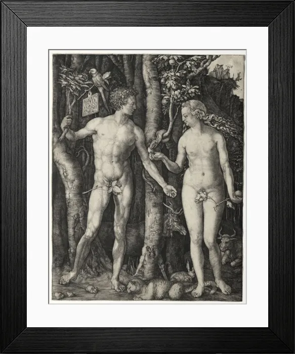 Framed Print : Adam and Eve, 1504. Creator: Albrecht Dürer (German, 1471-1528) Framed Print : Adam and Eve, 1504. Creator: Albrecht Dürer (German, 1471-1528)