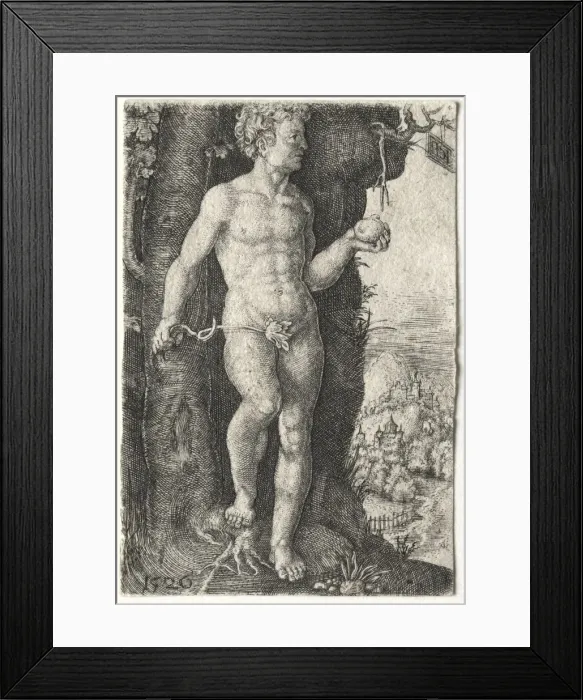 Framed Print : Adam, 1526. Creator: Jacob Binck (German, 1500-1569) Framed Print : Adam, 1526. Creator: Jacob Binck (German, 1500-1569)