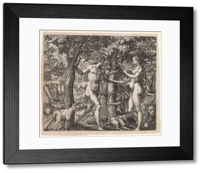 Framed Print : Adam and Eve, late 1500s. Creator: Robert Boissard (French, 1570-aft 1603) Framed Print : Adam and Eve, late 1500s. Creator: Robert Boissard (French, 1570-aft 1603)