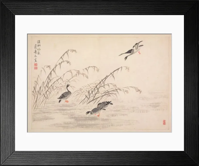 Framed Print : Album of Calligraphy and Paintings, 18th Century. Creator: Bian Shoumin (Chinese, 1684-1752) Framed Print : Album of Calligraphy and Paintings, 18th Century. Creator: Bian Shoumin (Chinese, 1684-1752)