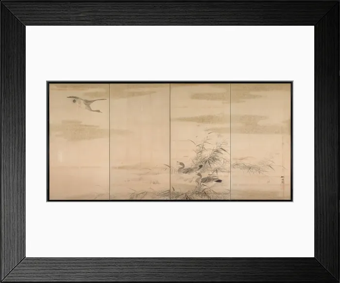 Framed Print : Geese, Reeds, and Water, 1800s. Creator: Yamamoto Baiitsu (Japanese, 1783-1856) Framed Print : Geese, Reeds, and Water, 1800s. Creator: Yamamoto Baiitsu (Japanese, 1783-1856)
