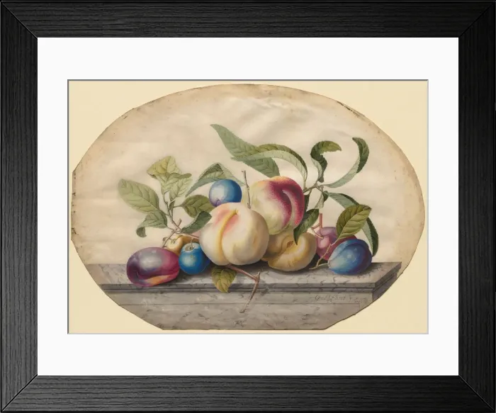 Framed Print : Fruit Arrangement: Peaches and Plumbs on a Slab of Marble, 1742. Creator: Georg Dionysius Ehret Framed Print : Fruit Arrangement: Peaches and Plumbs on a Slab of Marble, 1742. Creator: Georg Dionysius Ehret