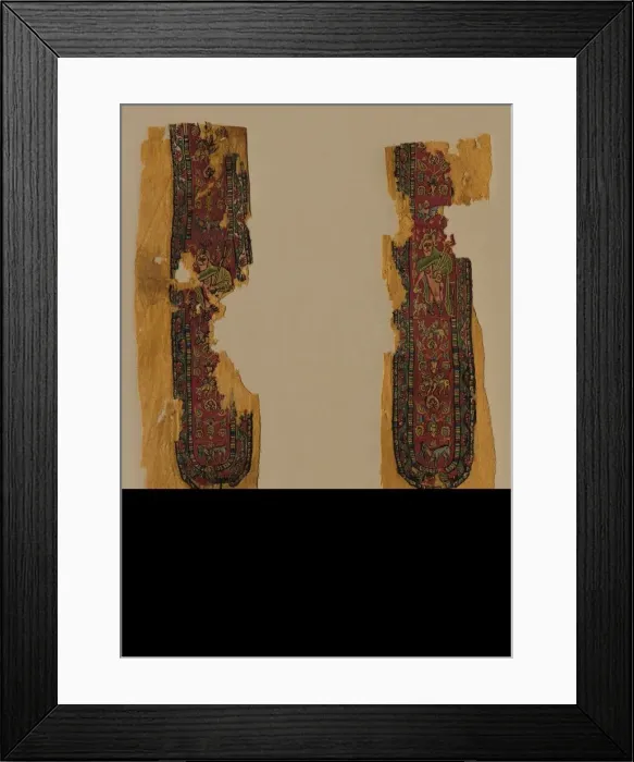 Framed Print : Decorations and Sleeve from a Tunic, 700s. Creator: Unknown Framed Print : Decorations and Sleeve from a Tunic, 700s. Creator: Unknown