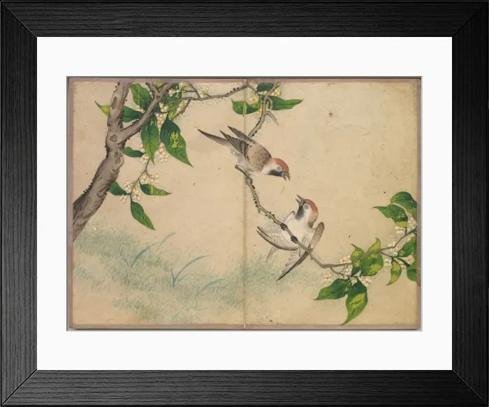 Framed Print : Desk Album: Flower and Bird Paintings (Gossiping Sparrows), 18th Century. Creator Framed Print : Desk Album: Flower and Bird Paintings (Gossiping Sparrows), 18th Century. Creator