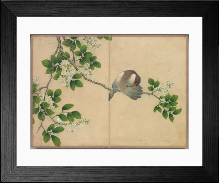 Framed Print : Desk Album: Flower and Bird Paintings (Preening Bird), 18th Century. Creator: Zhang Ruoai Framed Print : Desk Album: Flower and Bird Paintings (Preening Bird), 18th Century. Creator: Zhang Ruoai