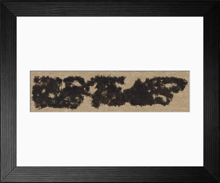 Framed Print : Crepe / Rep Cloth Fragment, 3rd century. Creator: Unknown Framed Print : Crepe / Rep Cloth Fragment, 3rd century. Creator: Unknown