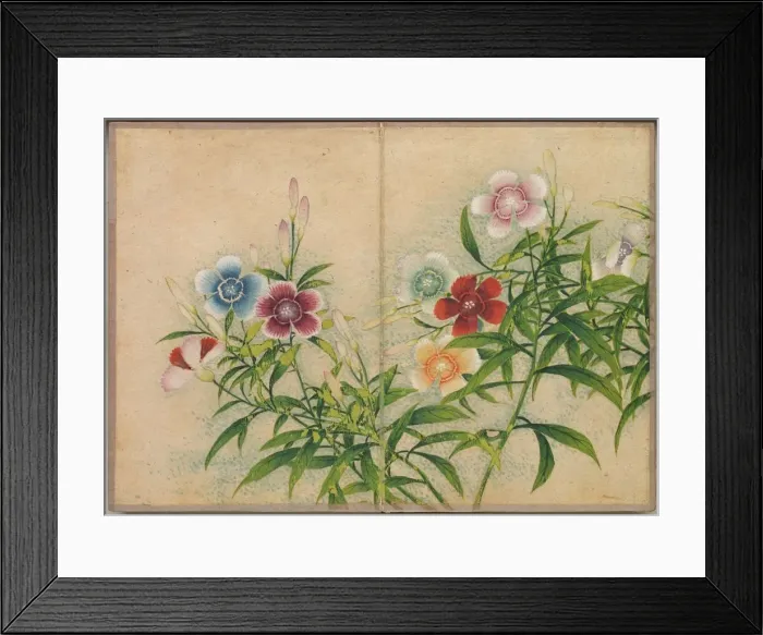 Framed Print : Desk Album: Flower and Bird Paintings (Pinks), 18th Century. Creator: Zhang Ruoai (Chinese) Framed Print : Desk Album: Flower and Bird Paintings (Pinks), 18th Century. Creator: Zhang Ruoai (Chinese)