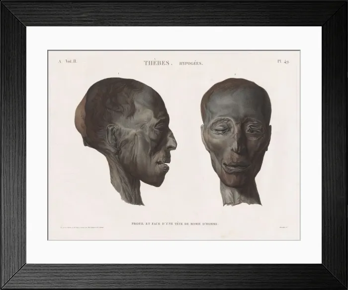 Framed Print : Description of Egypt: Thebes. Hypogees Vol. II, Pl. 49. Creator: Antoine Maxime Monsaldy (French Framed Print : Description of Egypt: Thebes. Hypogees Vol. II, Pl. 49. Creator: Antoine Maxime Monsaldy (French