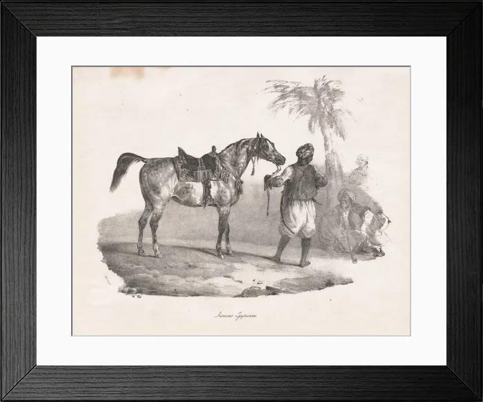 Framed Print : Egyptian Mare, 1822. Creator: Theodore Gericault (French, 1791-1824) Framed Print : Egyptian Mare, 1822. Creator: Theodore Gericault (French, 1791-1824)