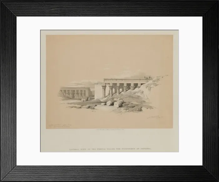 Framed Print : Egypt and Nubia, Volume II: Lateral View of the Temple called The Typhonoeum at Dendera, 1848 Framed Print : Egypt and Nubia, Volume II: Lateral View of the Temple called The Typhonoeum at Dendera, 1848