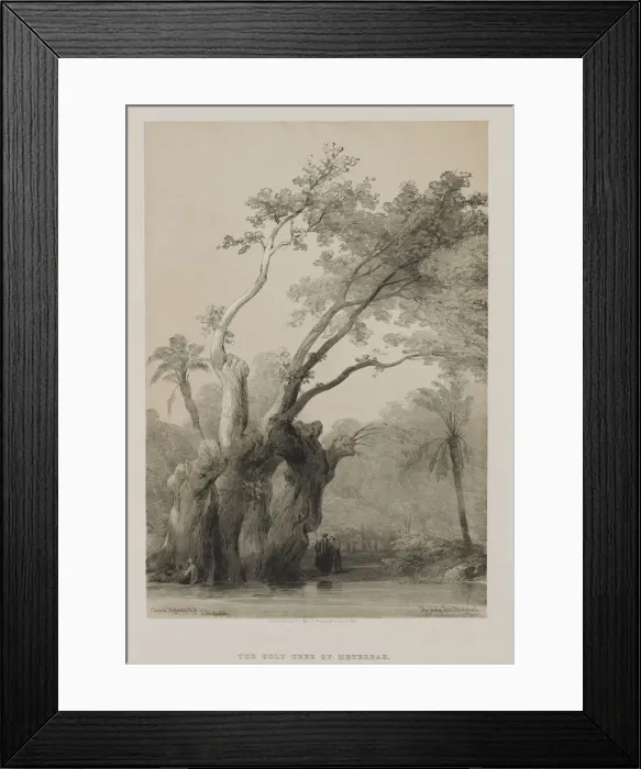 Framed Print : Egypt and Nubia, Volume III: The Holy Tree of Metereah, 1849. Creator: Louis Haghe (British Framed Print : Egypt and Nubia, Volume III: The Holy Tree of Metereah, 1849. Creator: Louis Haghe (British