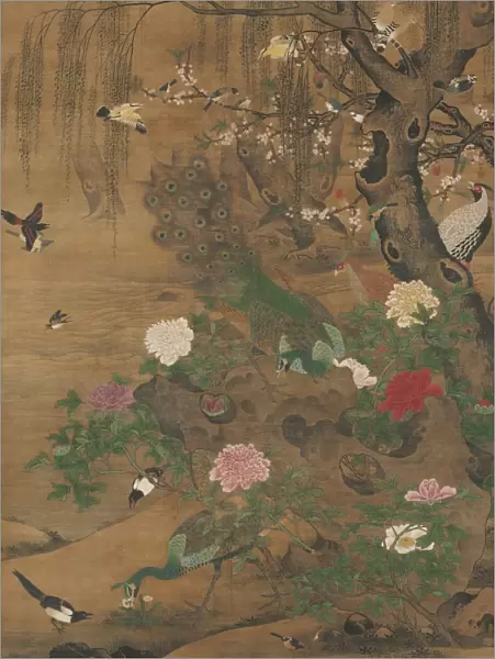 Birds Gather under the Spring Willow, late 1400s-early 1500. Creator: Yin Hong (Chinese, c