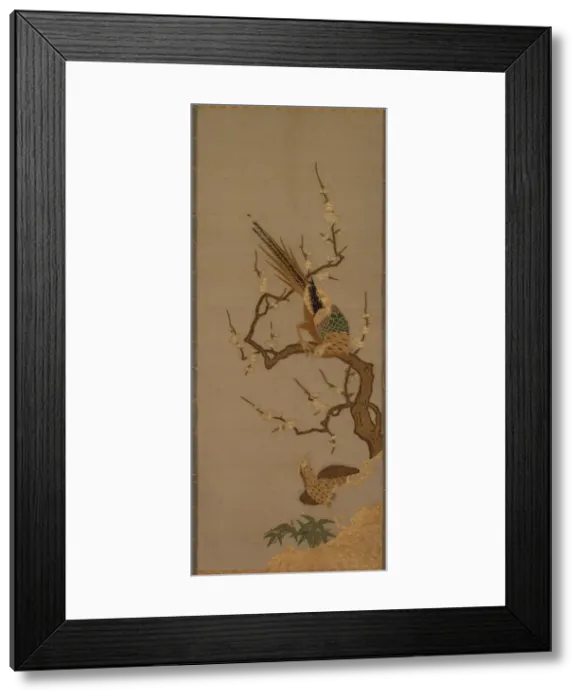 Framed Print : Birds in a Tree, 18th-19th century. Creator: Unknown Framed Print : Birds in a Tree, 18th-19th century. Creator: Unknown