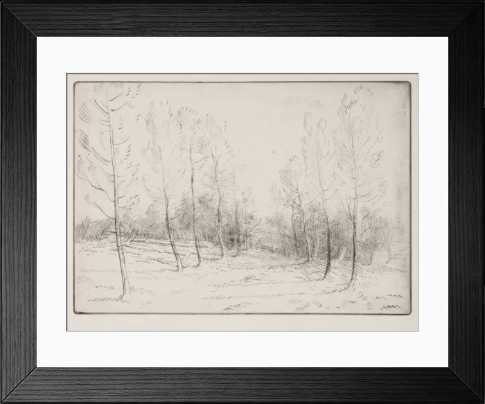 Framed Print : Avenue of Poplars. Creator: Alphonse Legros (French, 1837-1911) Framed Print : Avenue of Poplars. Creator: Alphonse Legros (French, 1837-1911)
