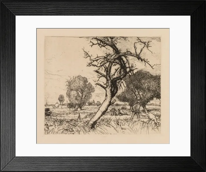 Framed Print : Auguste Lepere: Le pommier mort (Picardie), 1913. Creator: Auguste Louis Lepere (French Framed Print : Auguste Lepere: Le pommier mort (Picardie), 1913. Creator: Auguste Louis Lepere (French