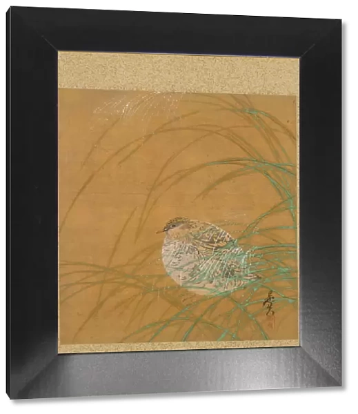 Leaf from Album of Seasonal Themes: Shoreline with Birds, 1847. Creator: Shibata Zeshin (Japanese