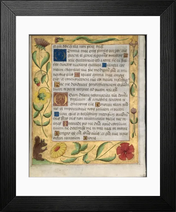 Framed Print : Leaf from a Psalter and Prayerbook: Ornamental Border with Flowers and Squirrel (verso), c Framed Print : Leaf from a Psalter and Prayerbook: Ornamental Border with Flowers and Squirrel (verso), c