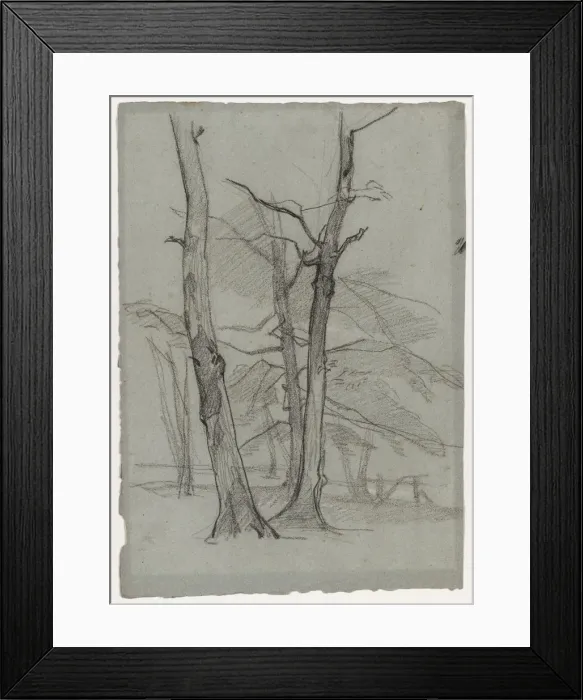 Framed Print : Landscape Study with Trees, c. 1870-1875. Creator: Thomas Couture (French, 1815-1879) Framed Print : Landscape Study with Trees, c. 1870-1875. Creator: Thomas Couture (French, 1815-1879)