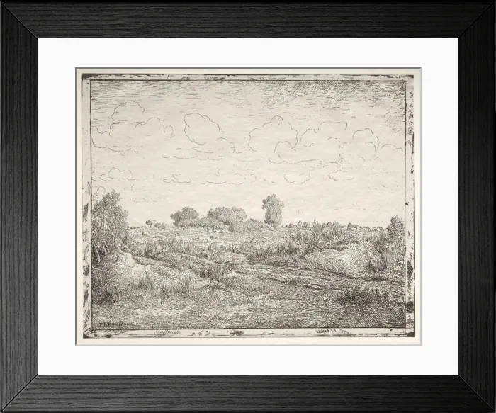 Framed Print : La Plaine de la Plante a Biau. Creator: Theodore Rousseau (French, 1812-1867) Framed Print : La Plaine de la Plante a Biau. Creator: Theodore Rousseau (French, 1812-1867)