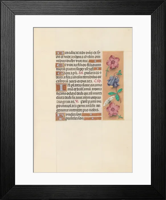 Framed Print : Hours of Queen Isabella the Catholic, Queen of Spain: Fol. 144r, c. 1500. Creator Framed Print : Hours of Queen Isabella the Catholic, Queen of Spain: Fol. 144r, c. 1500. Creator