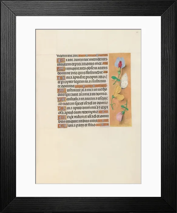 Framed Print : Hours of Queen Isabella the Catholic, Queen of Spain: Fol. 156r, c. 1500. Creator Framed Print : Hours of Queen Isabella the Catholic, Queen of Spain: Fol. 156r, c. 1500. Creator